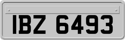 IBZ6493