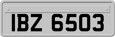 IBZ6503