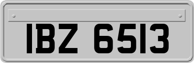 IBZ6513