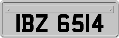 IBZ6514