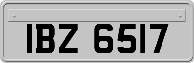 IBZ6517
