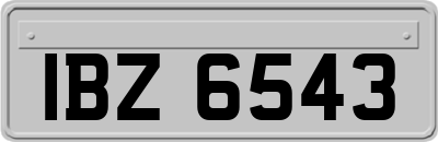 IBZ6543