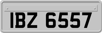 IBZ6557