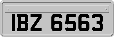 IBZ6563