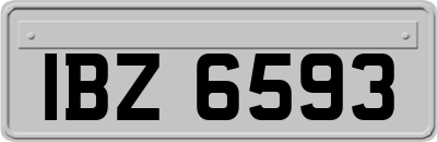 IBZ6593