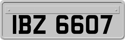 IBZ6607