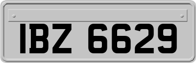 IBZ6629