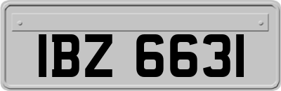 IBZ6631