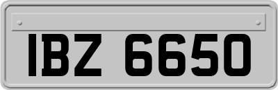 IBZ6650