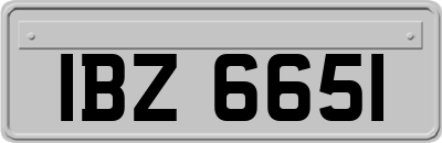 IBZ6651