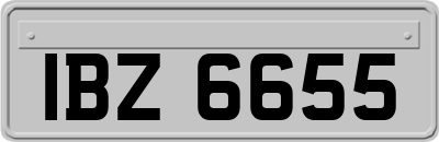 IBZ6655