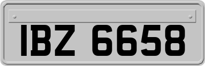 IBZ6658