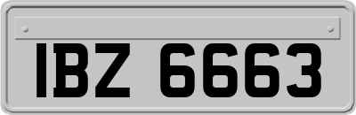IBZ6663