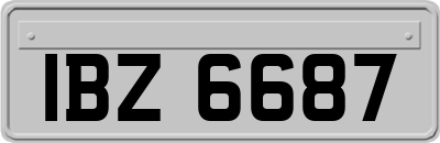 IBZ6687