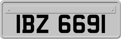 IBZ6691