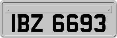 IBZ6693