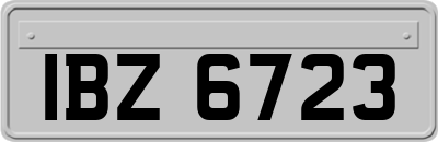 IBZ6723