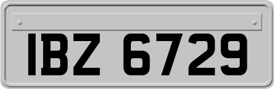 IBZ6729