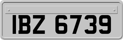 IBZ6739