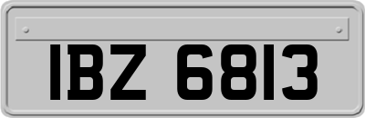 IBZ6813