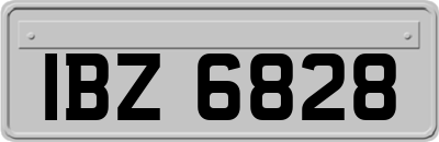 IBZ6828