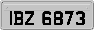 IBZ6873