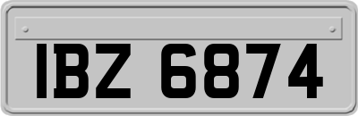 IBZ6874