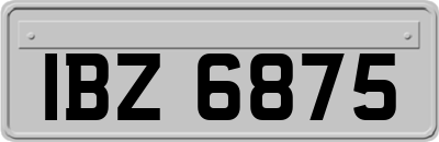 IBZ6875