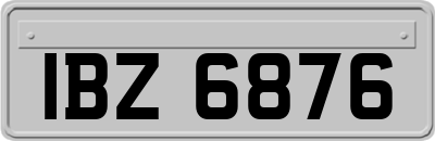 IBZ6876