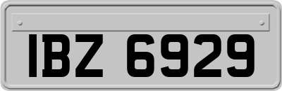 IBZ6929