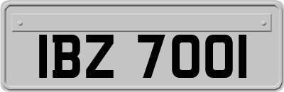 IBZ7001