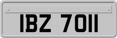 IBZ7011