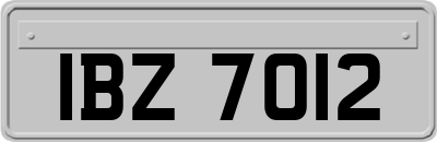 IBZ7012