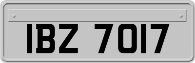 IBZ7017