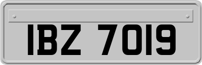 IBZ7019