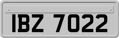 IBZ7022