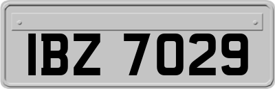 IBZ7029