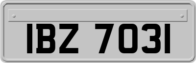 IBZ7031