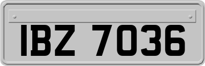 IBZ7036