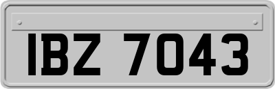 IBZ7043