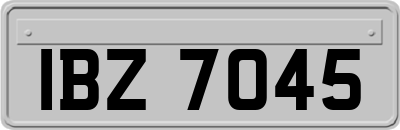 IBZ7045