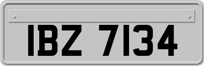IBZ7134