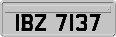 IBZ7137
