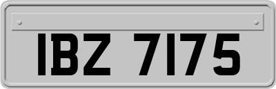 IBZ7175