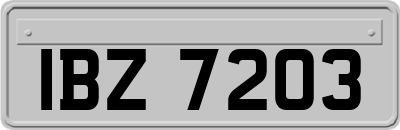 IBZ7203
