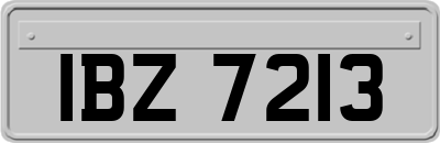 IBZ7213