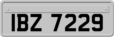 IBZ7229