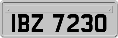 IBZ7230