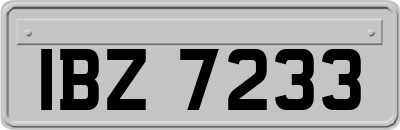 IBZ7233