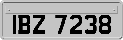 IBZ7238